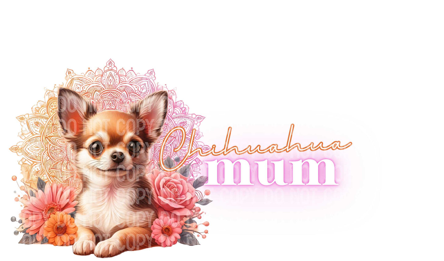 Chihuahua Mum