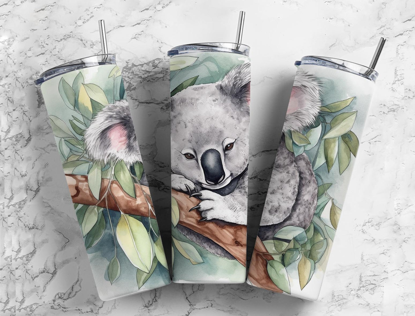 Koala