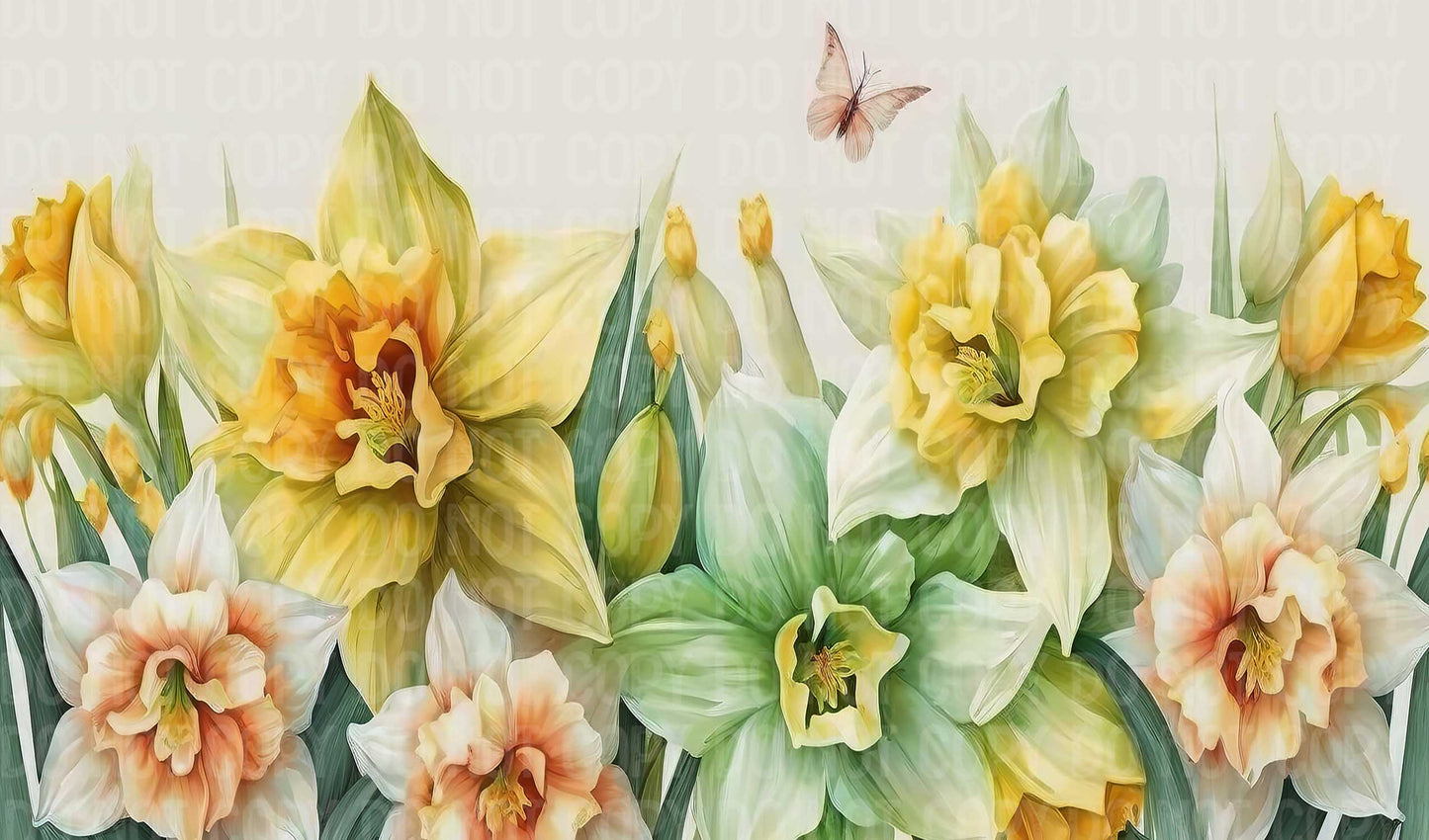 Daffodils