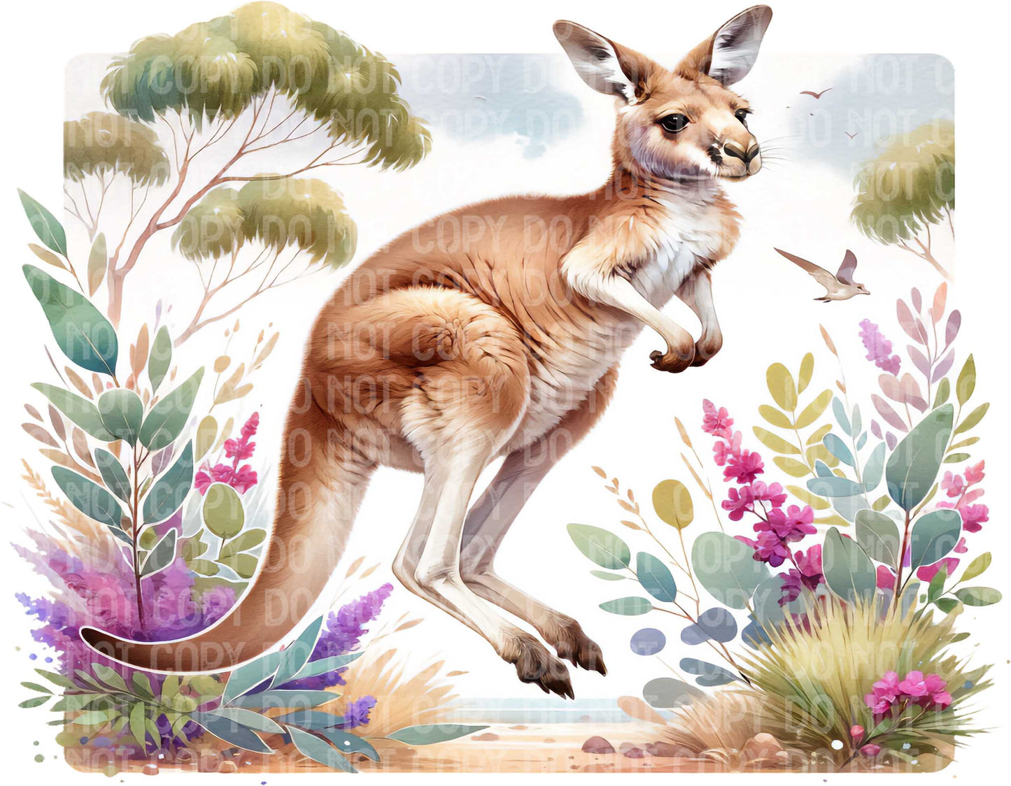 Kangaroo
