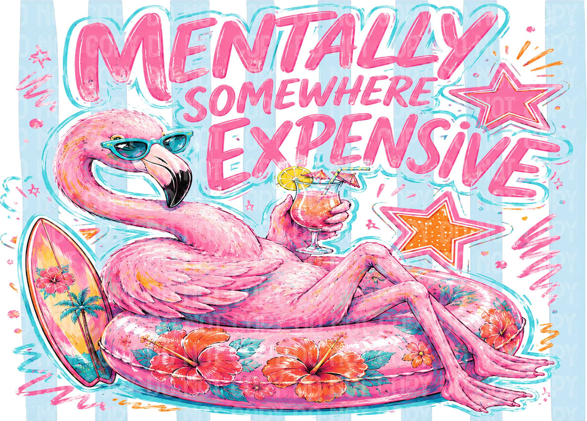Mentally Somewhere Expensive