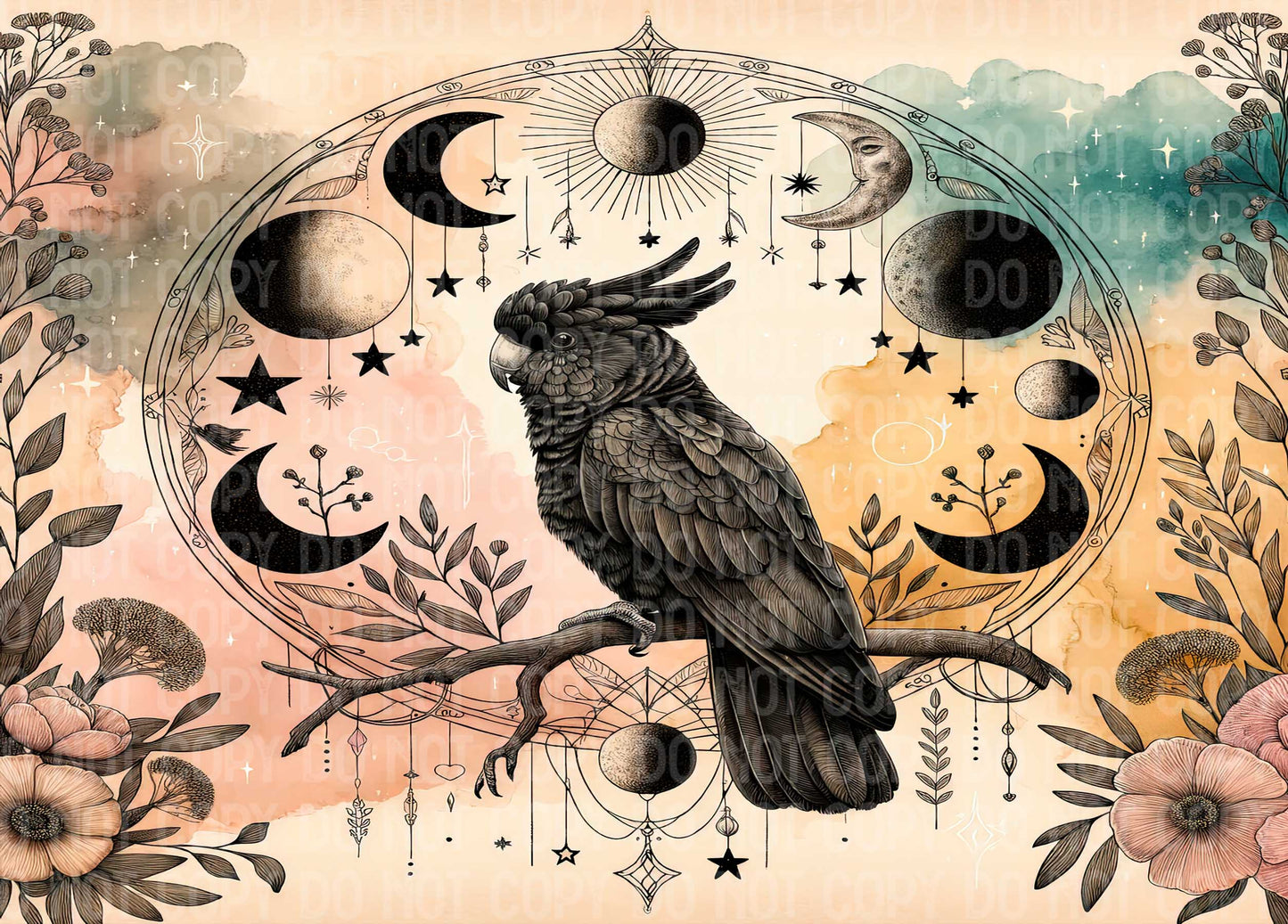 Black Cockatoo Moons