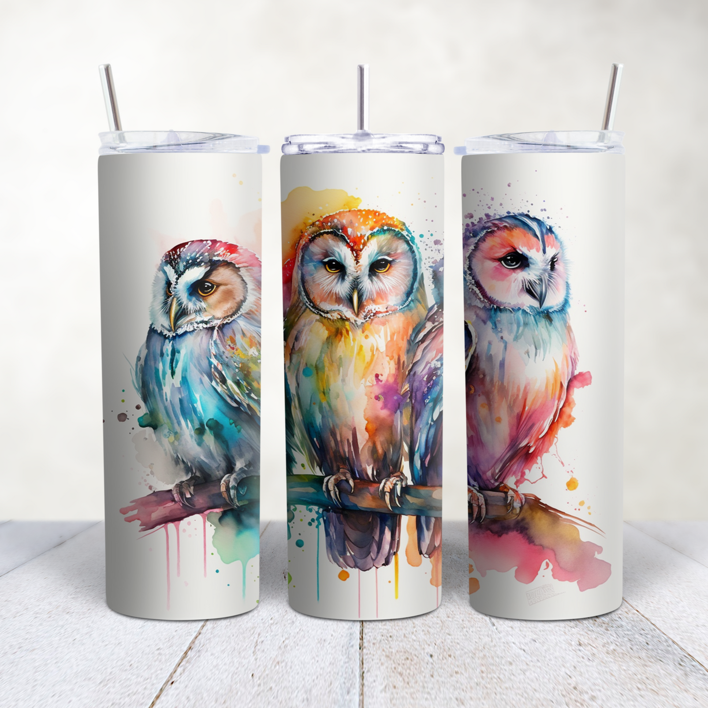 3 Owls