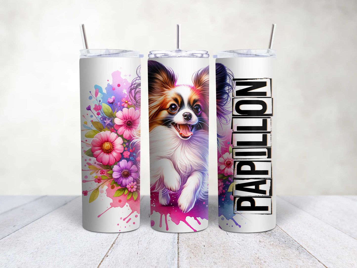 Papillon Brown Breed