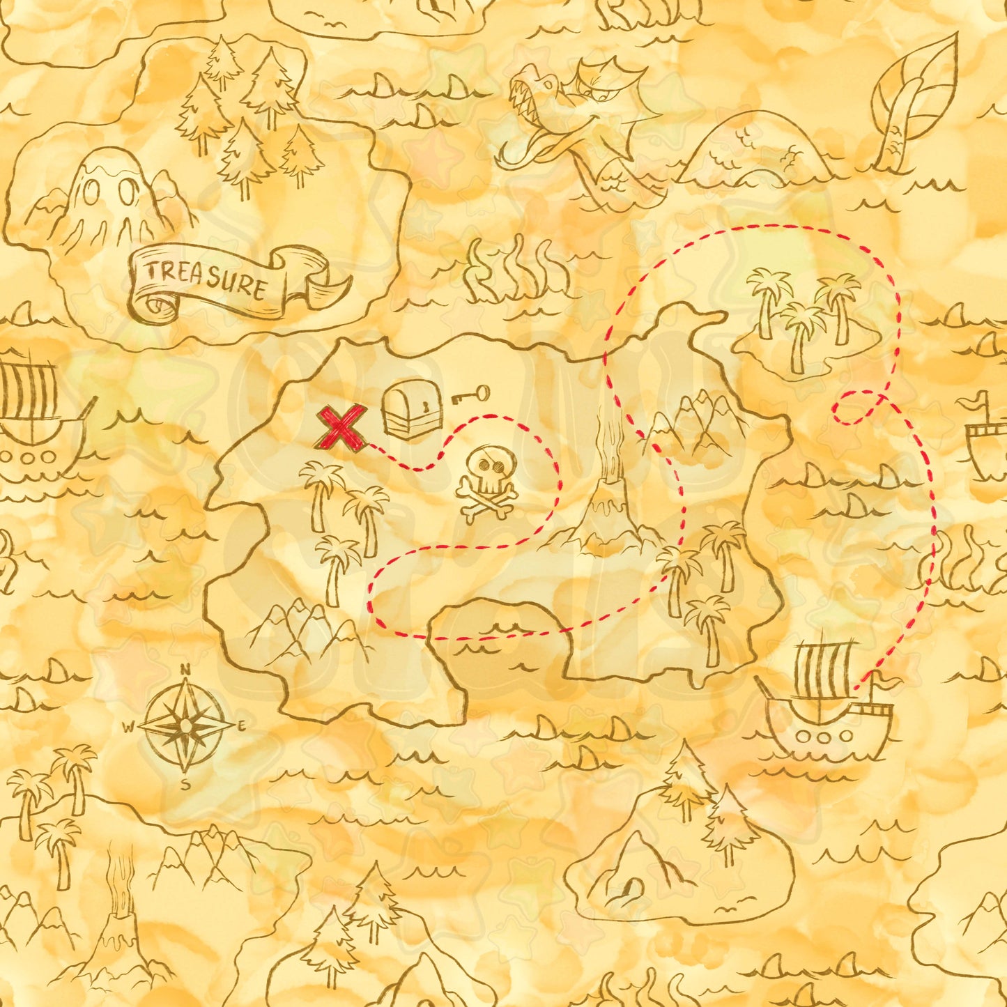 DT Map Coord
