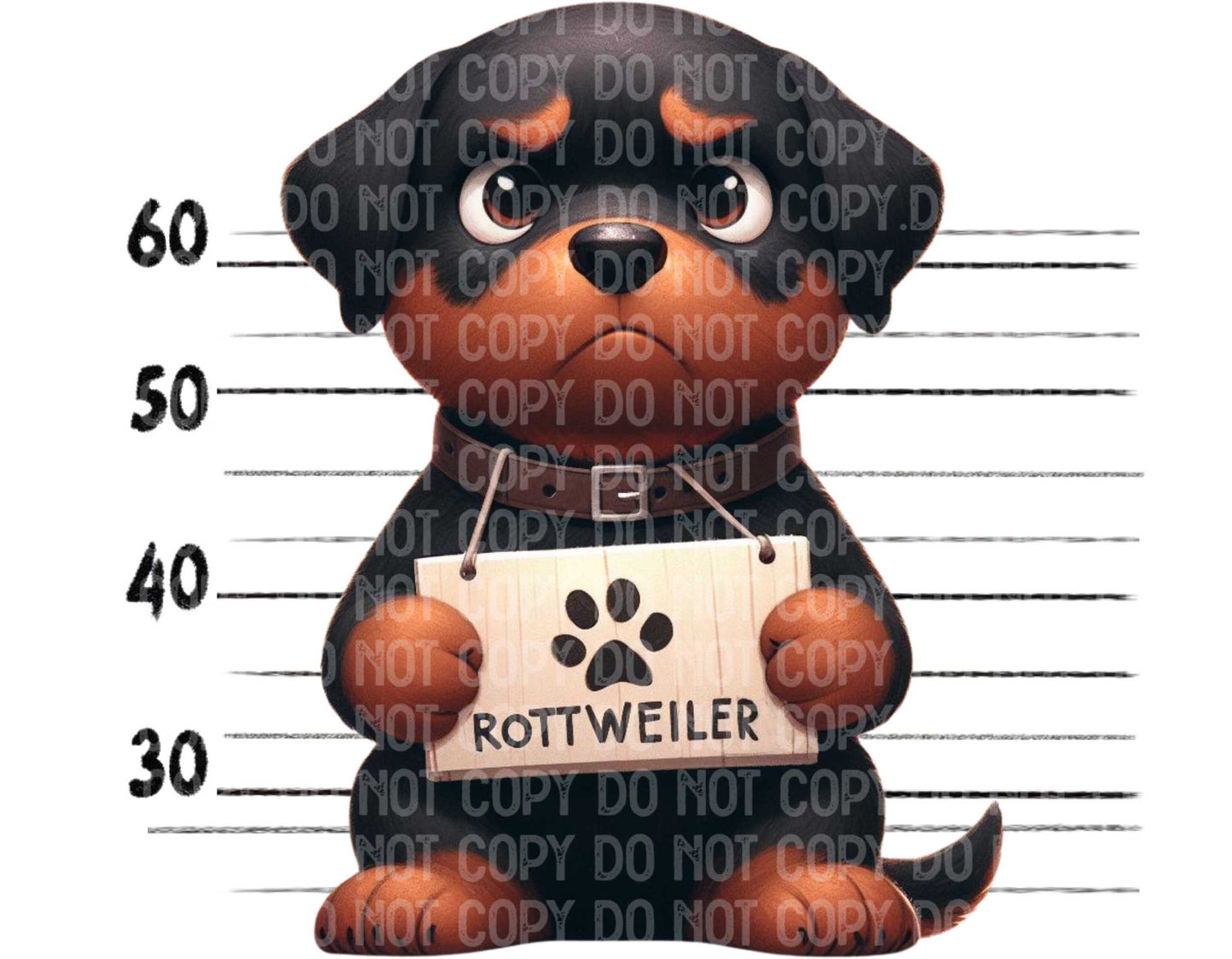 Rotty Baddie