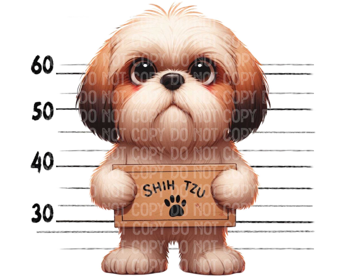 Shih Tzu Baddie