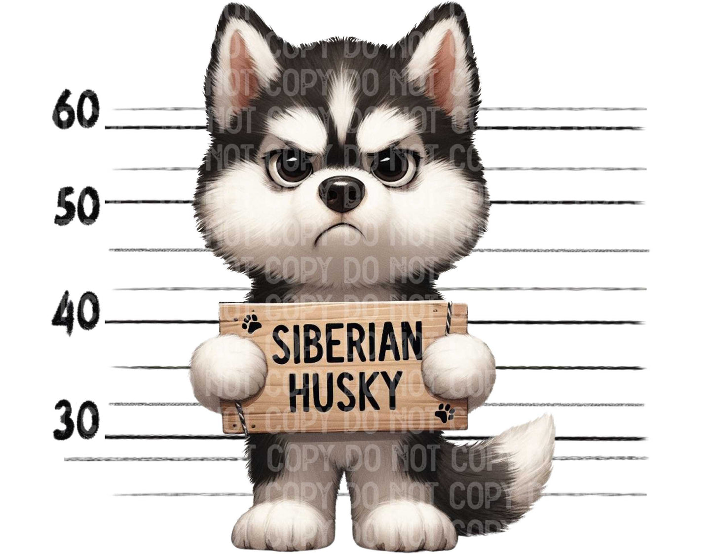 Siberian Husky Baddie