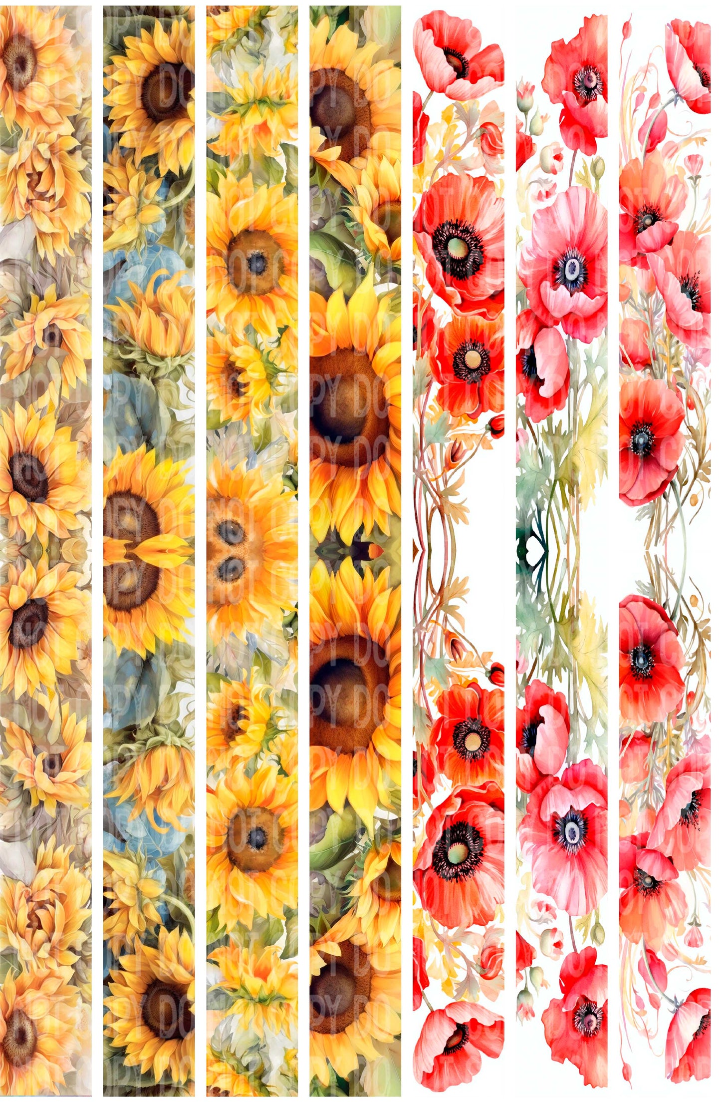 Poppies and Sunflowers