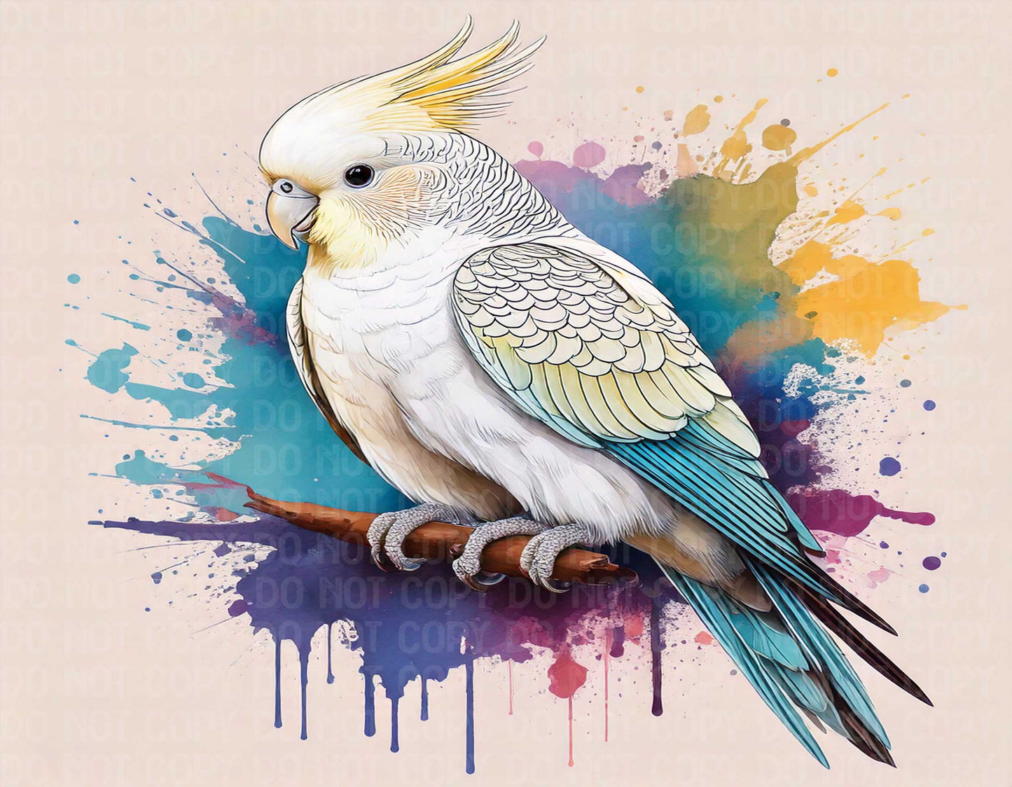 White Yellow Budgie