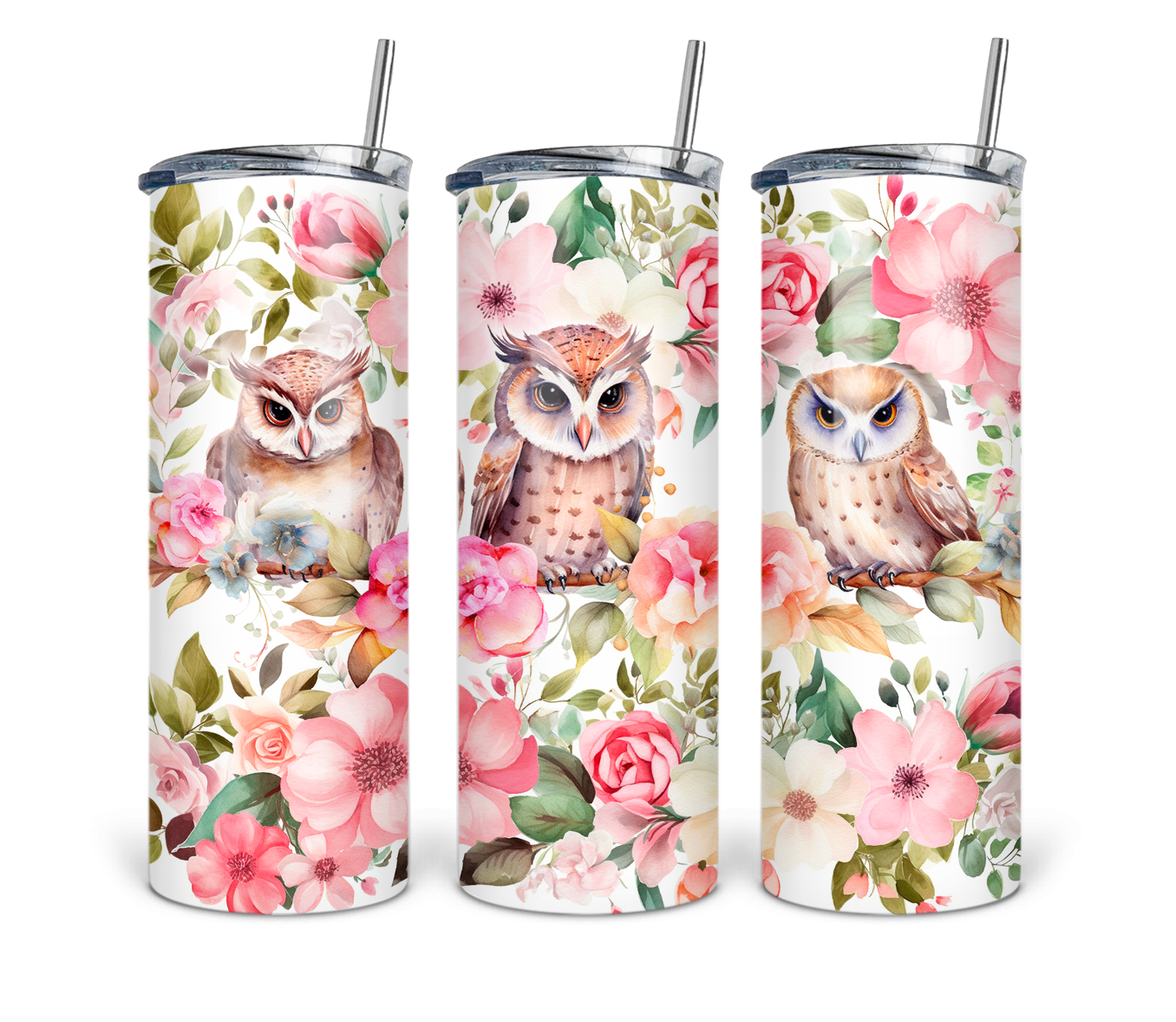 Owls