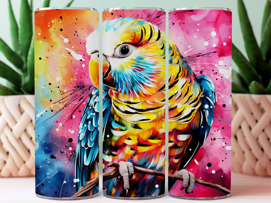 Budgie