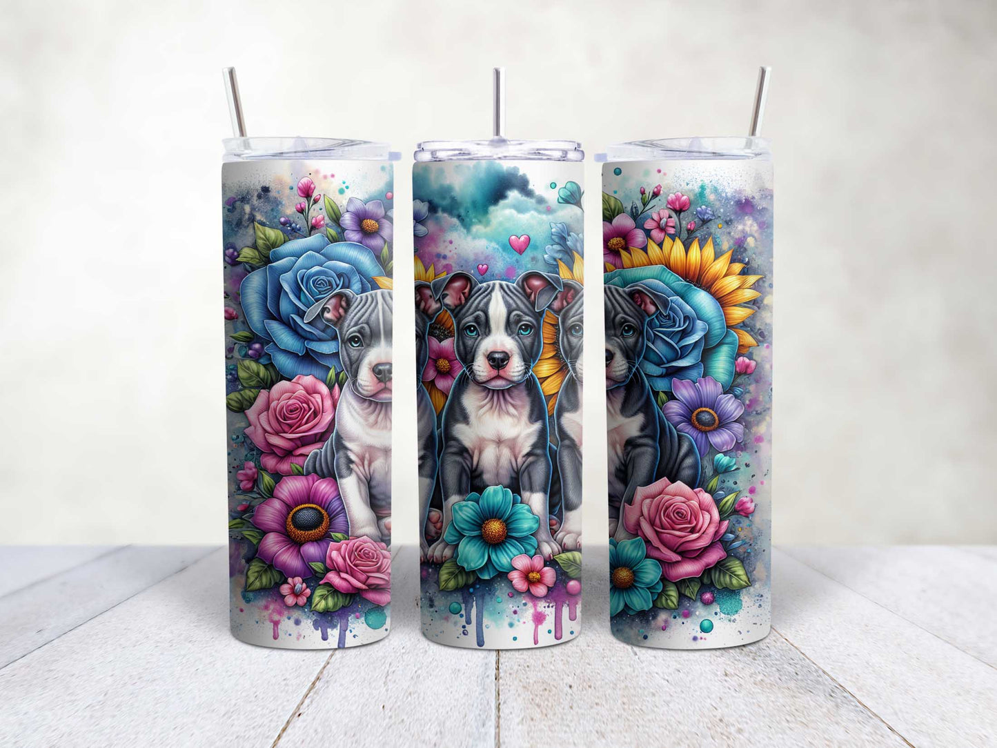 American Bull Terrier