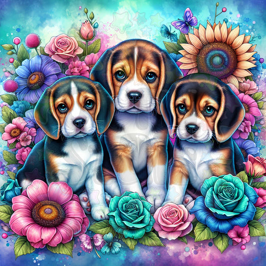 Beagles