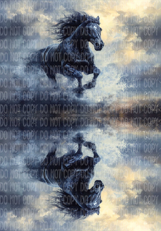 Black Horse