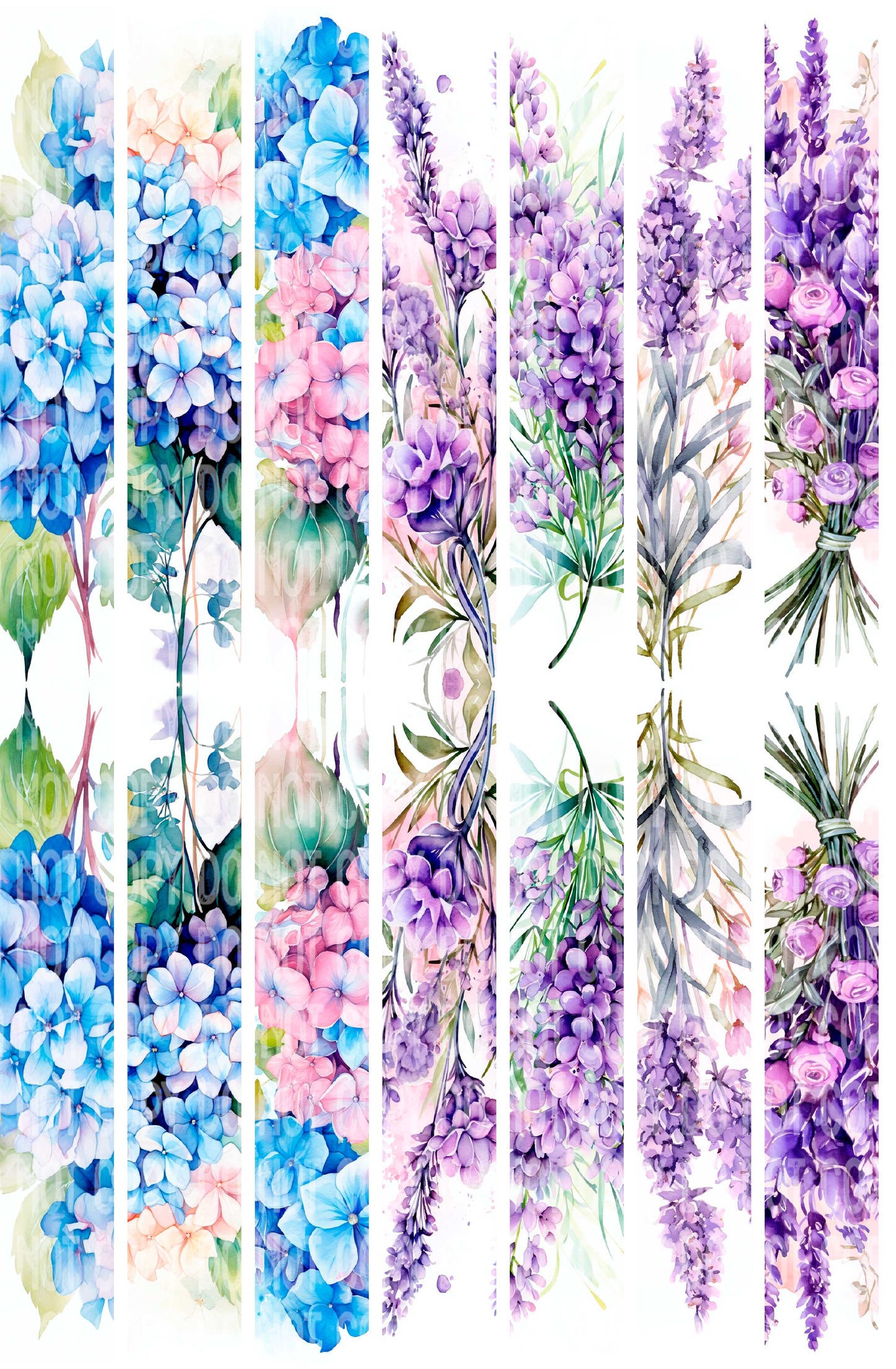 Blue and Purple Flowers