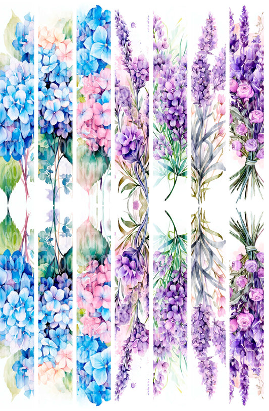 Blue and Purple Flowers