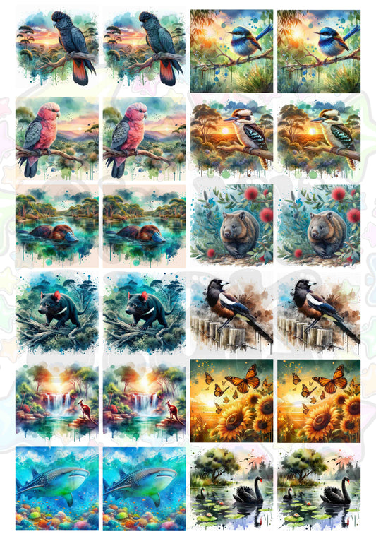 Car Coasters Aussie Animals