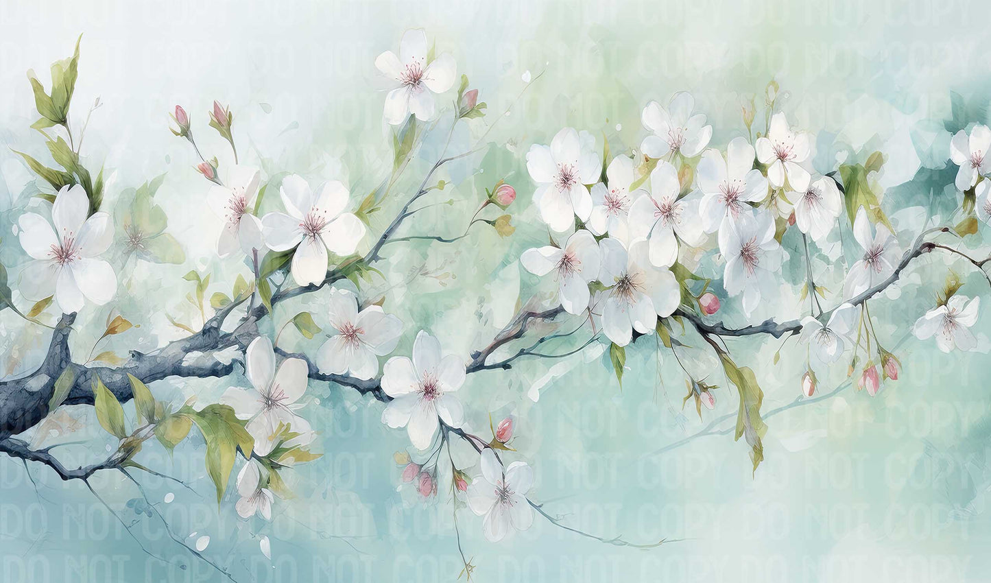Cherry Blossoms