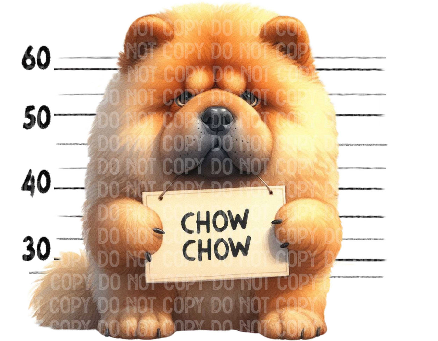 Chow Chow Baddie