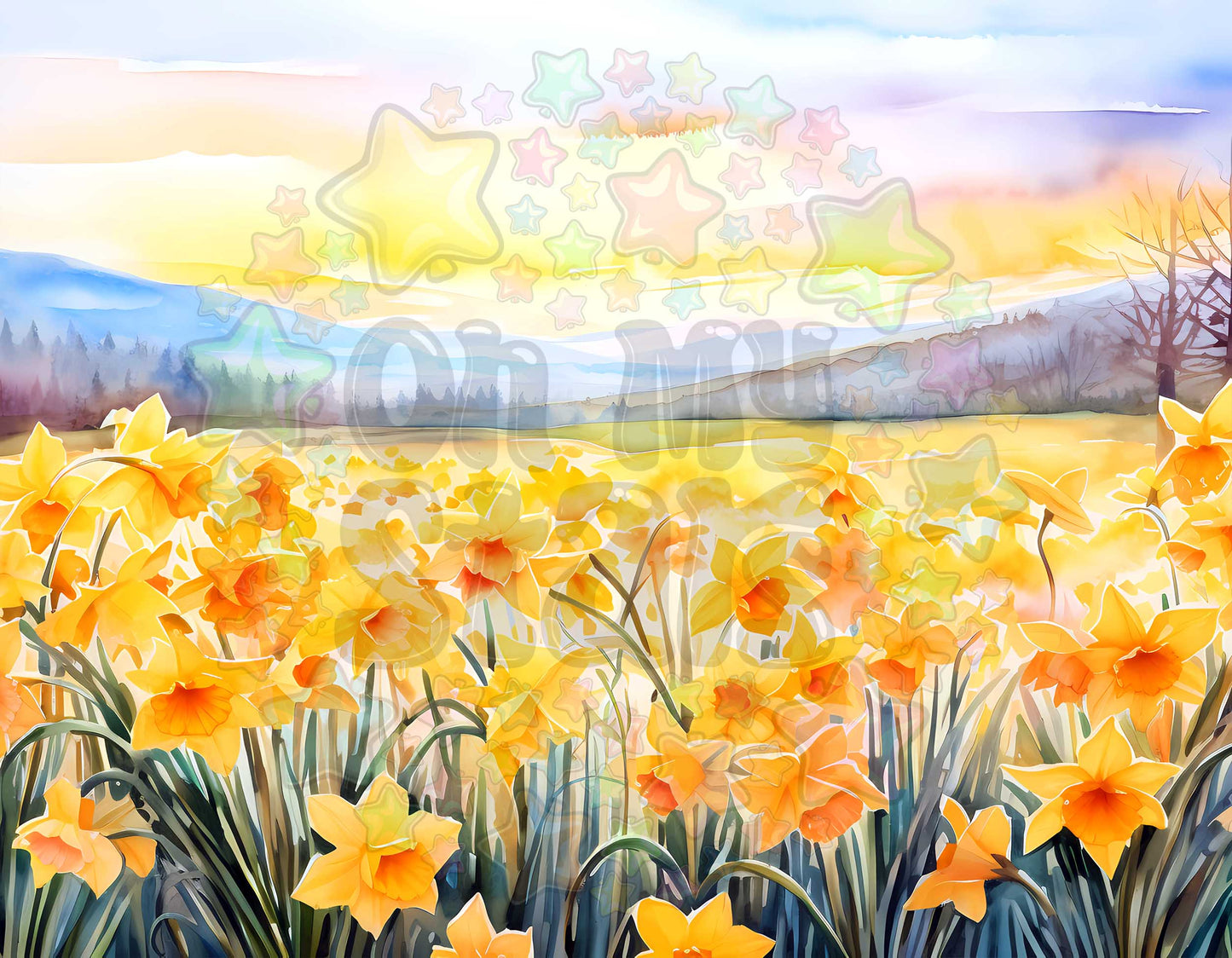 Daffodils