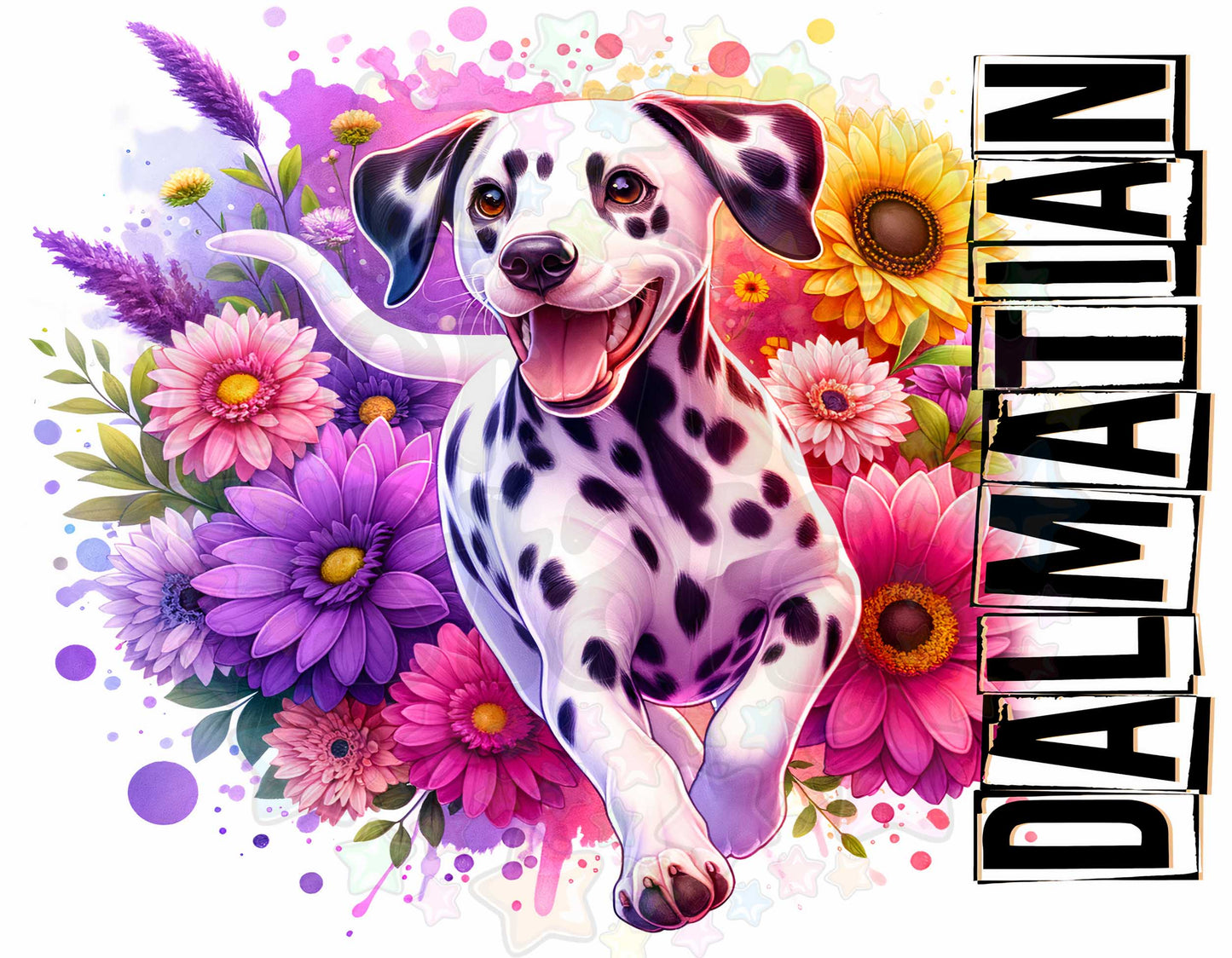Dalmatian