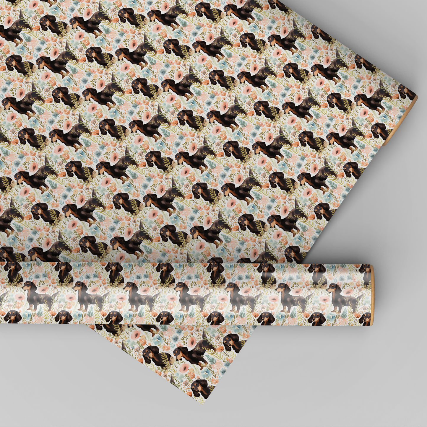 Daschund 1