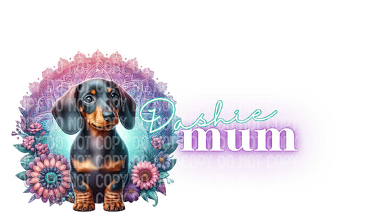 Dachie Mum