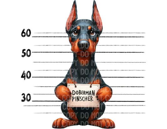 Doberman Baddie