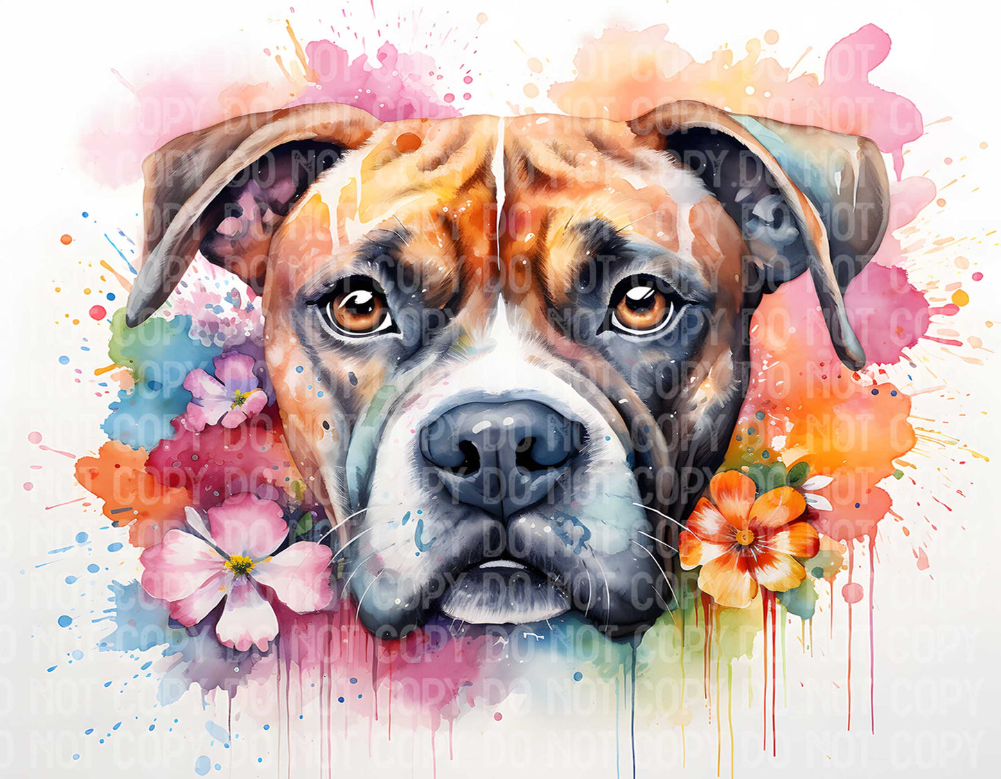 Boxer Flowers