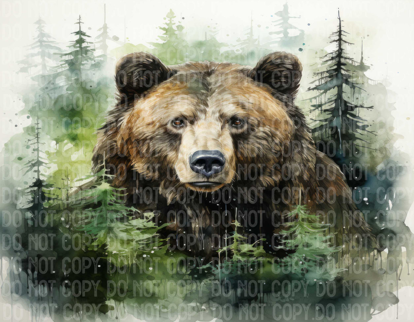 Forest Bear