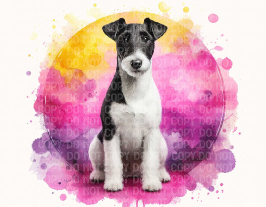 Fox terrier