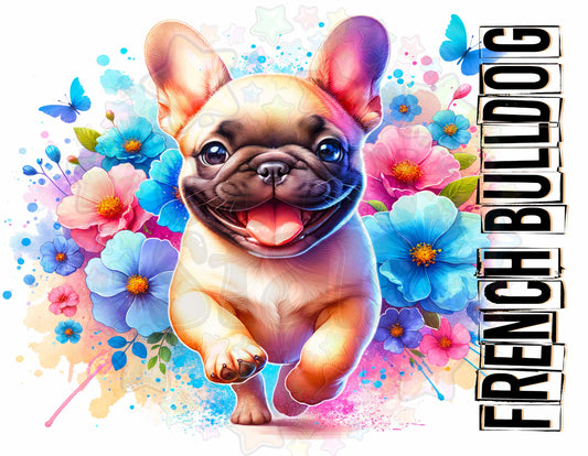 French Bulldog