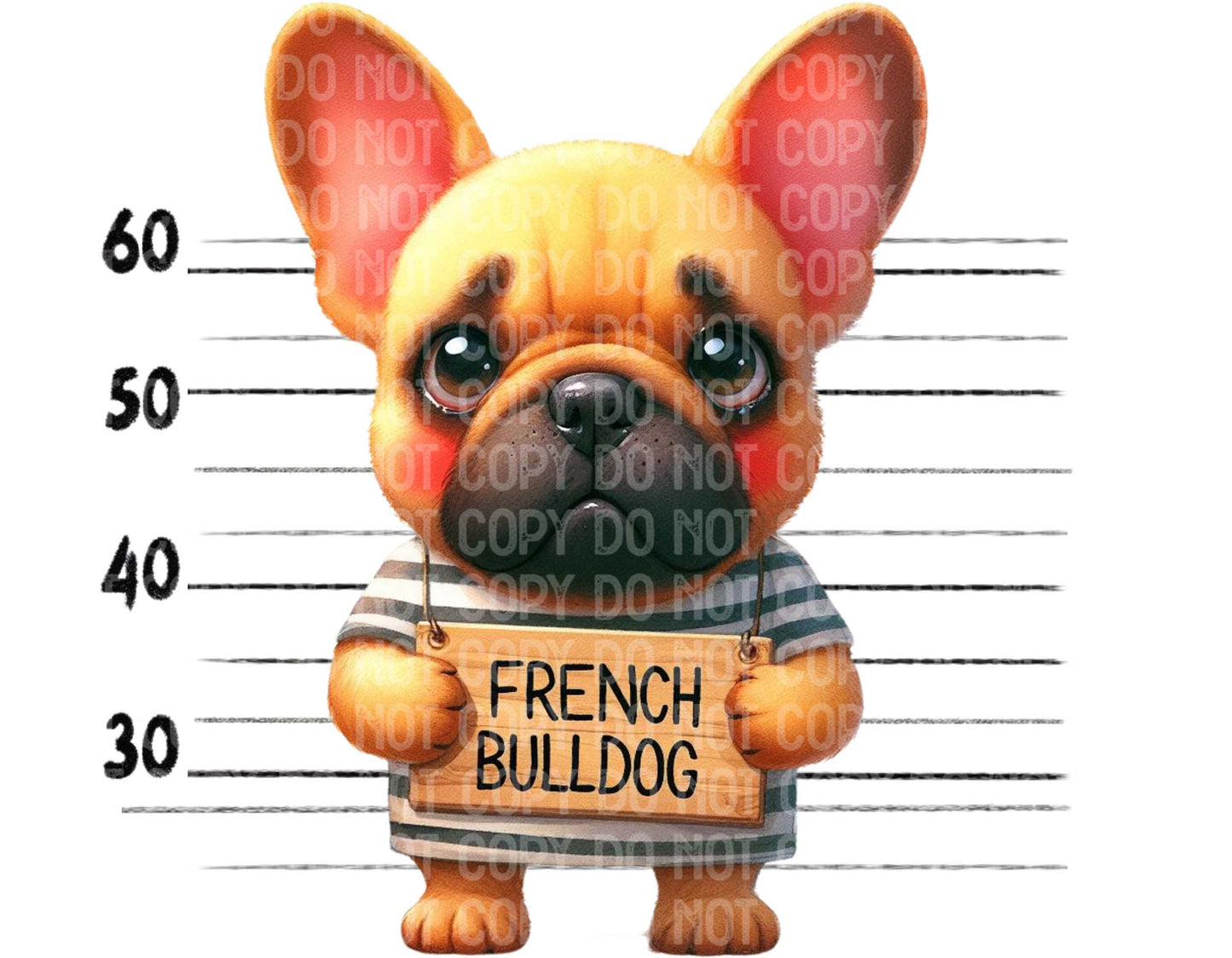 Frenchie Baddie
