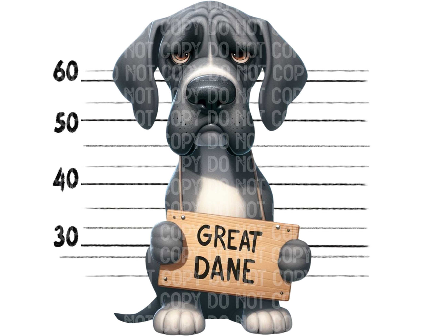 Great Dane Baddie