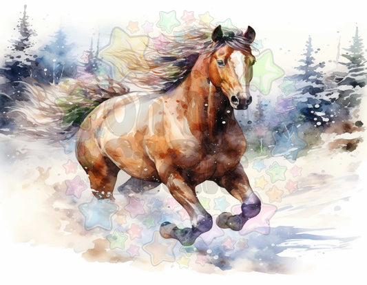 Winter Horse