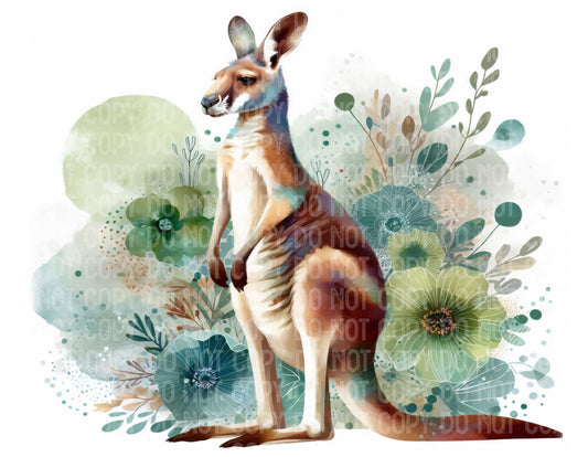Kangaroo