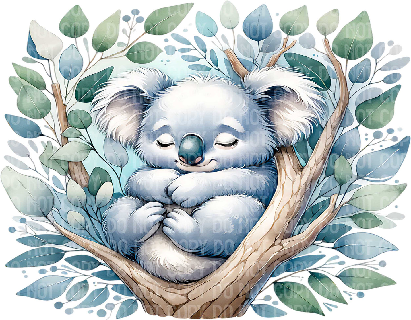 Koala Sleeping