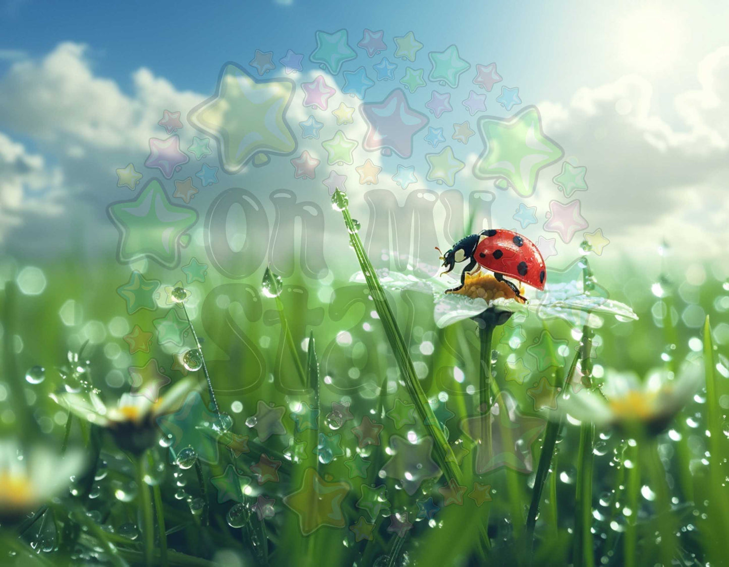 Ladybug