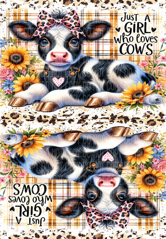 Loves Cows