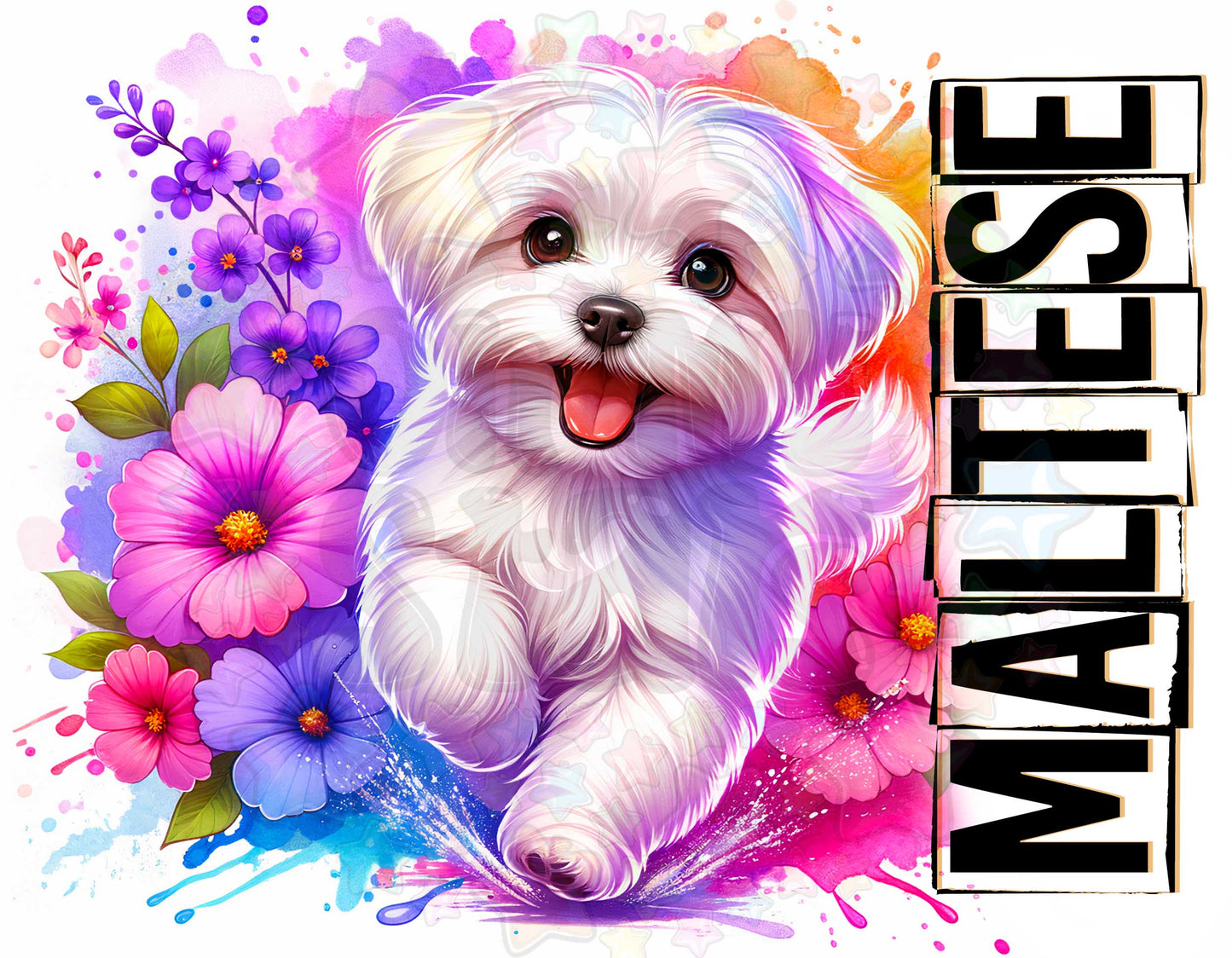 Maltese