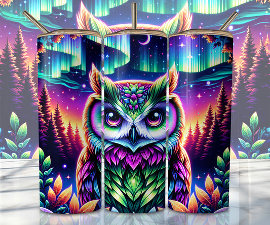 Owl Northern Lights