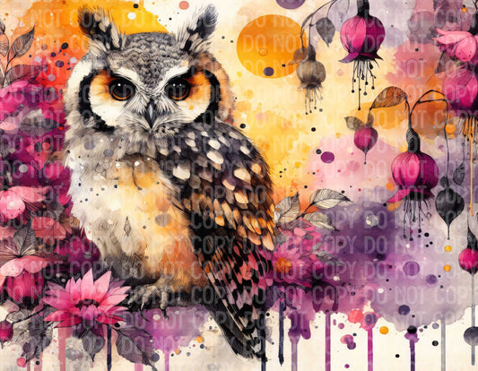 Orange Owl