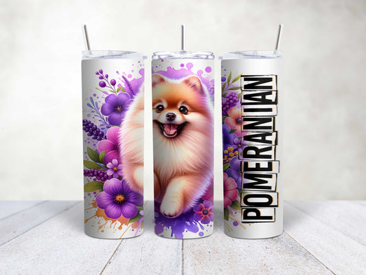 Pomeranian Breed
