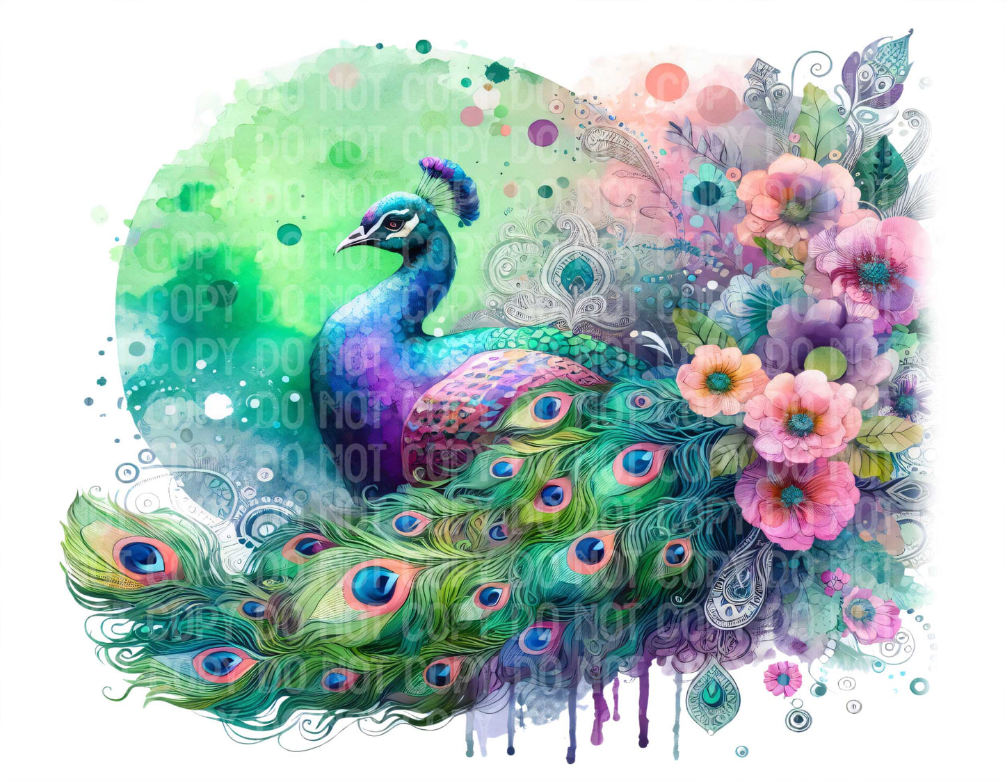 Peacock