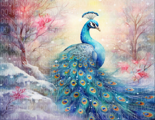 Pastel Peacock