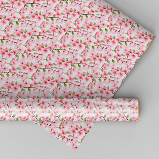 Pink Cherry Blossoms