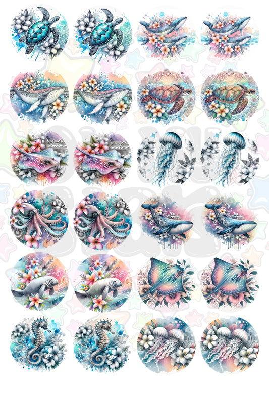 Sea Animals Car Coaster Pack