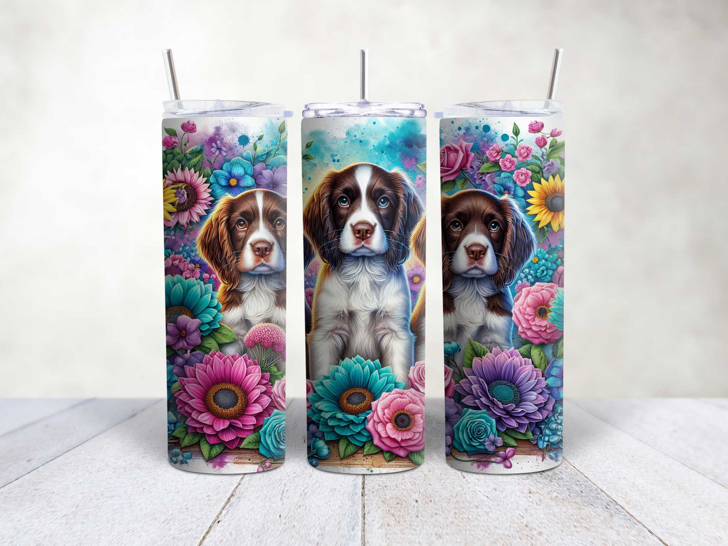Springer Spaniels