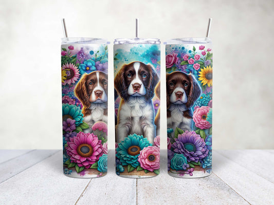 Springer Spaniels